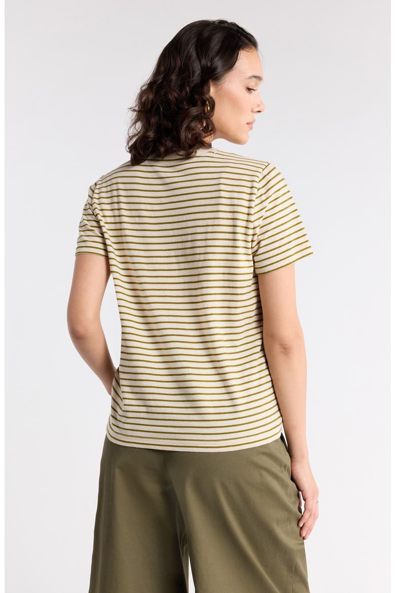 Crewneck Cotton T-Shirt, Alternate, color, BEIGE R OLIVE A ASHLEY STRIPE