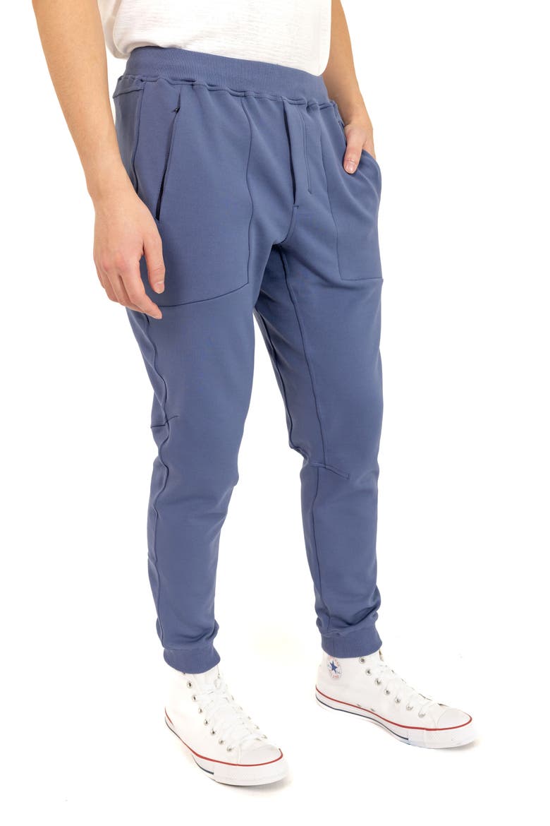 Cotton Blend Joggers, Alternate, color, BLUE