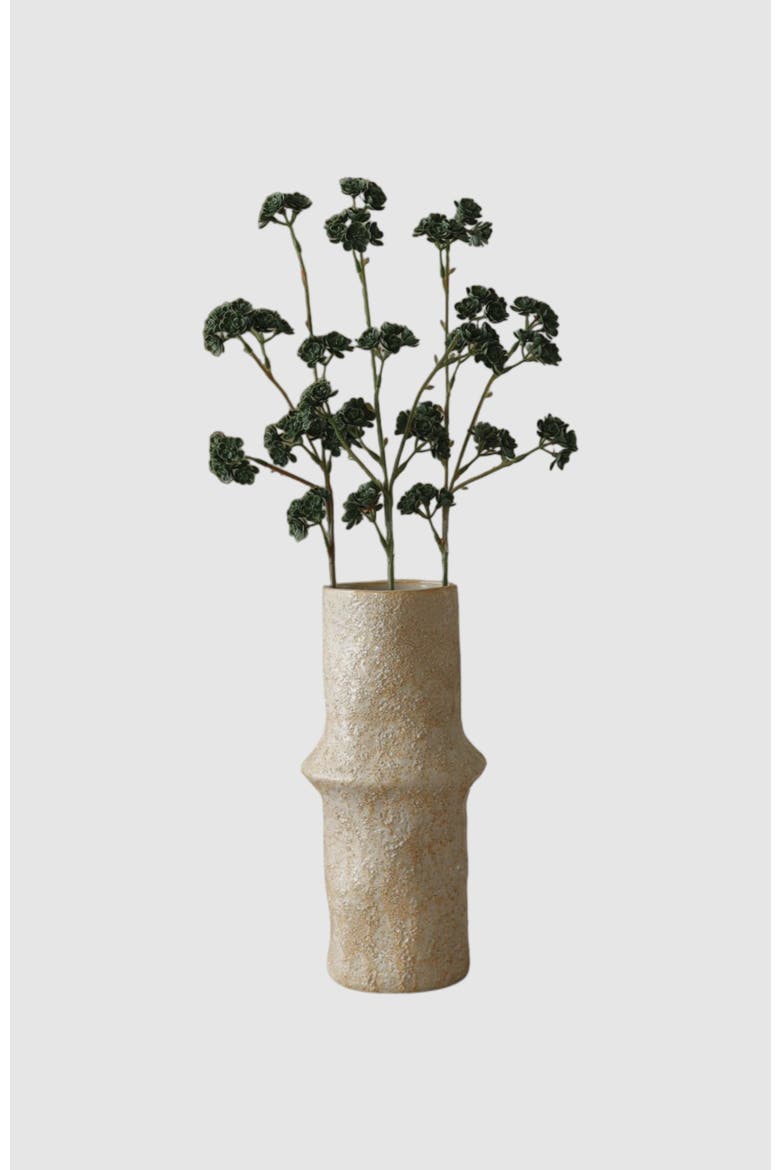 Dark Green Succulent Stem, Alternate, color, Dark Green