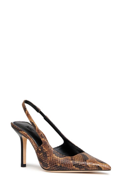 Paige Sienna Slingback Pointed Toe Pump In Brown