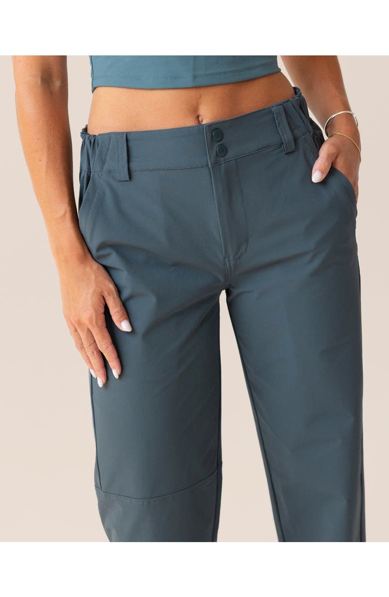 Nani Journey Pant, Alternate, color, Dark Summit