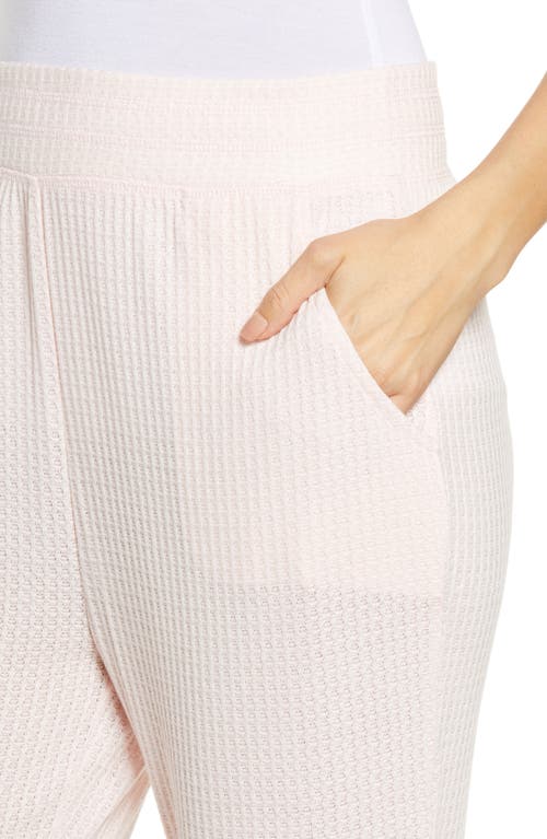 Honeydew Intimates Sneak Peek Lounge Jogger Pants