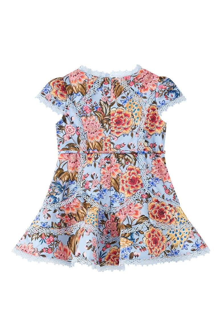 Iliana Cotton Mini Dress, Alternate, color, Floral