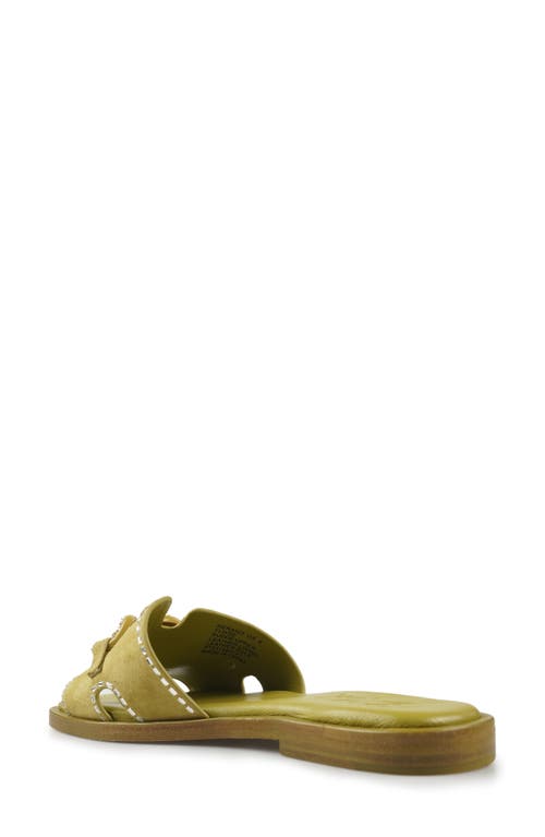 Zigi Nerano Slide Sandal In Yellow Olive