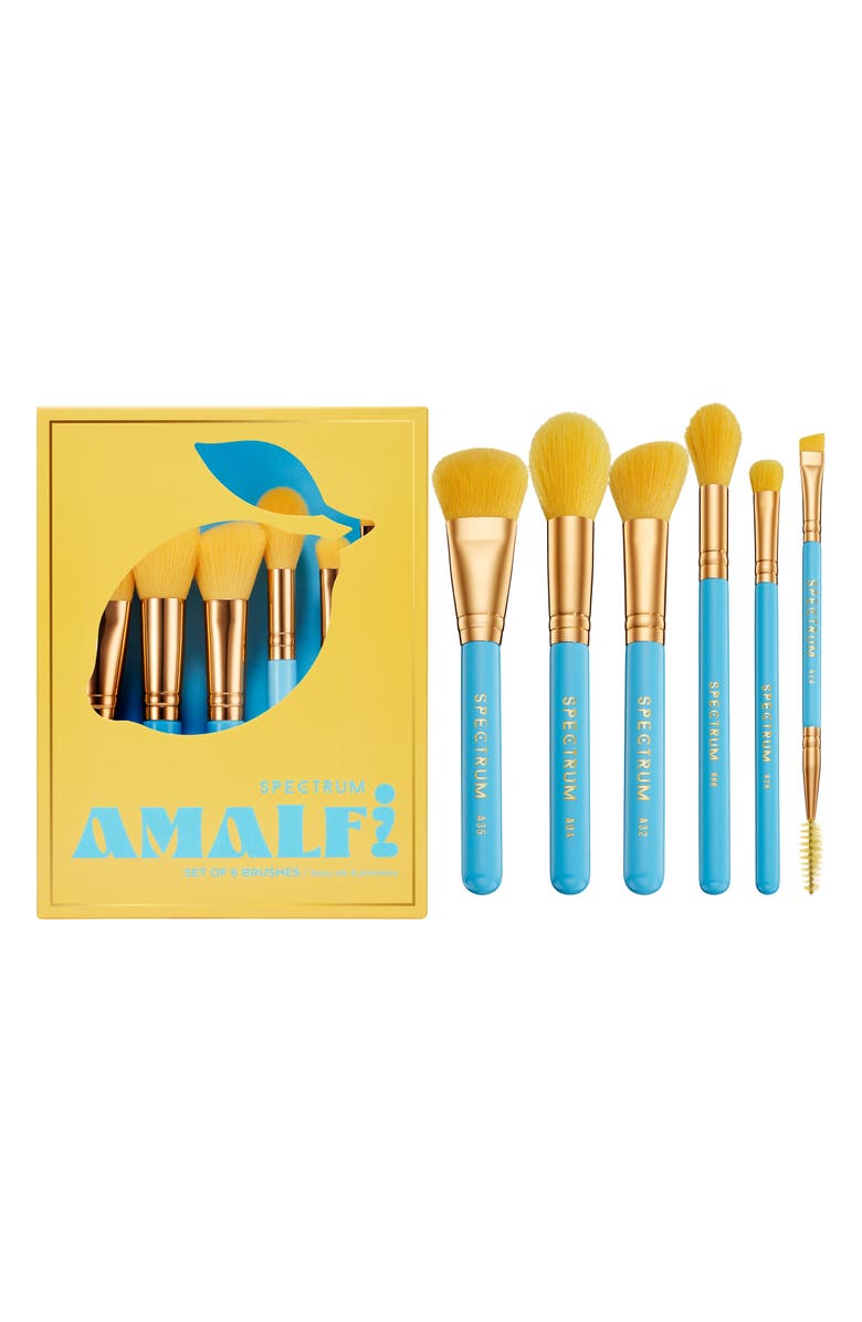 SPECTRUM Amalfi Travel Book 6-Piece Makeup Brush Set $56 Value, Main, color, 
