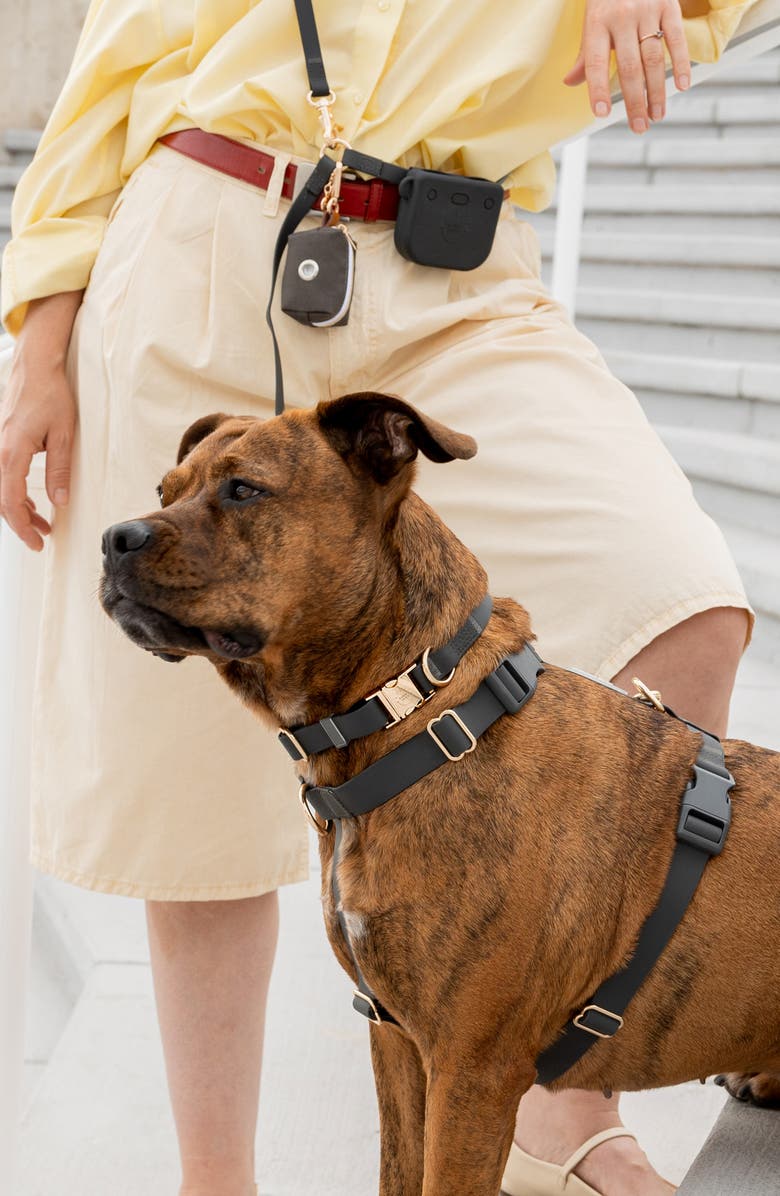 SUNNY TAILS Cloud Waterproof Dog Collar, Alternate, color, Ember Black