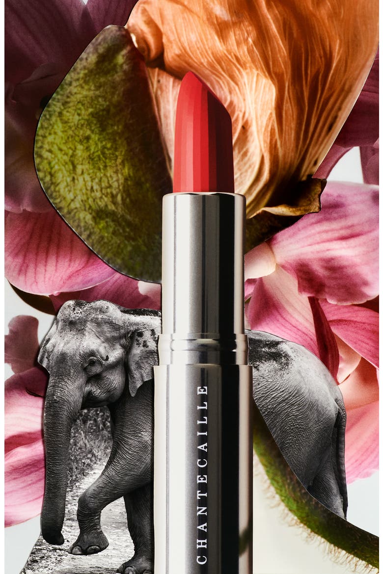 Lip Crème (Nordstrom Exclusive), Alternate, color, PINK LOTUS