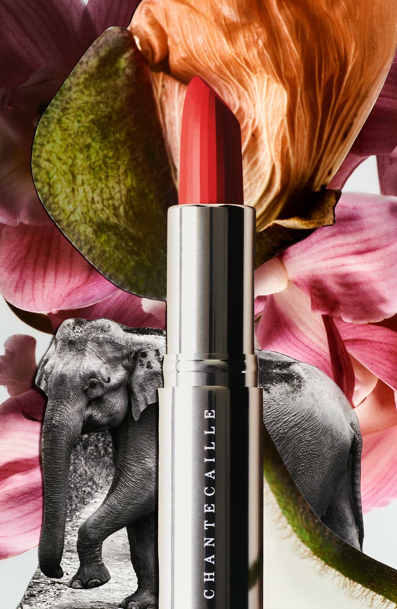 Chantecaille Lip Crème, Alternate, color, Banyan Tree