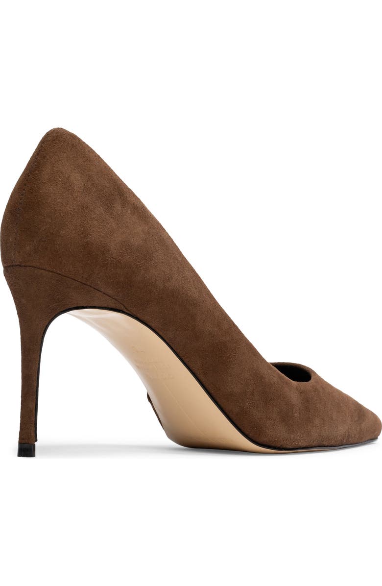 BLACK SUEDE STUDIO Amaya Pointed Toe Pump, Alternate, color, Brown