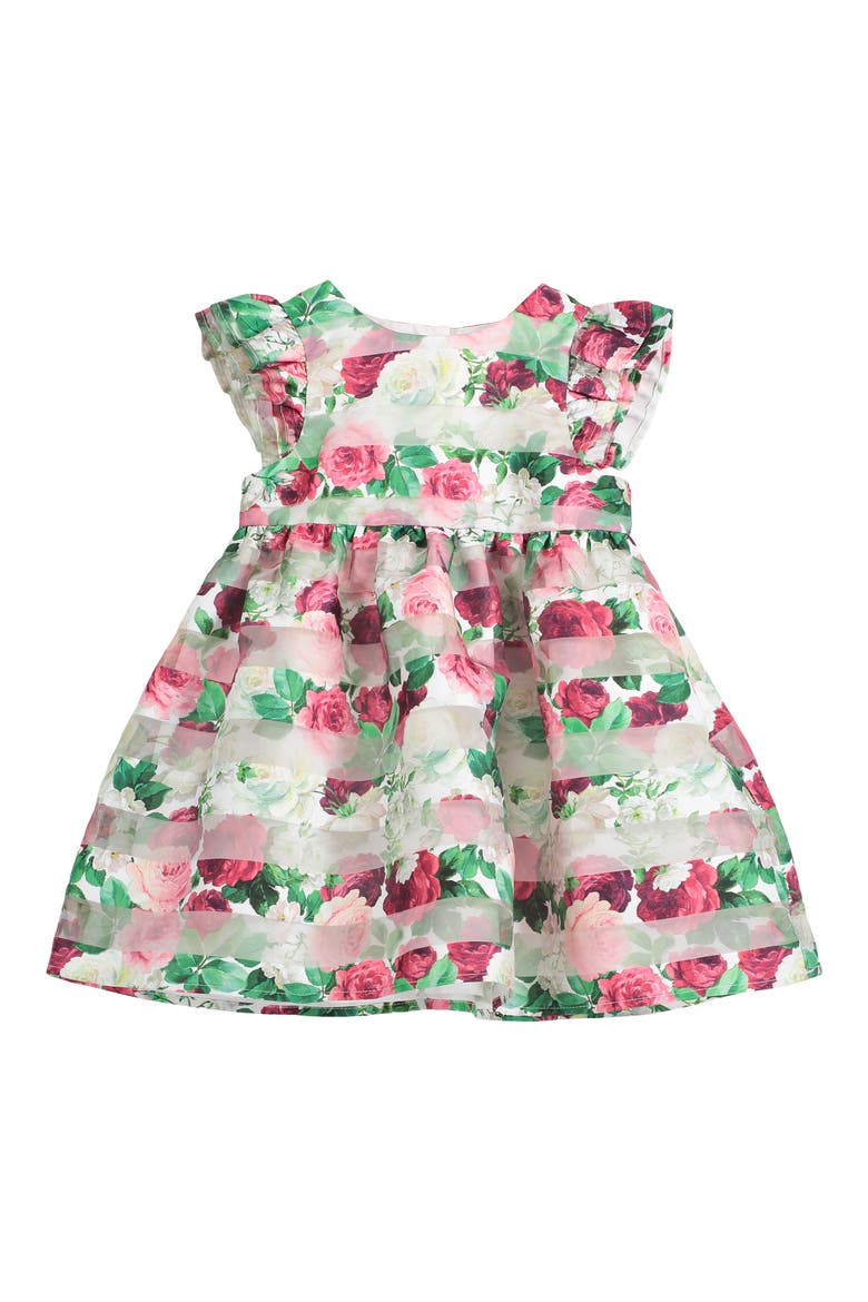 Floral Stripe Flutter Sleeve Organza Dress, Main, color, RED/ WHITE