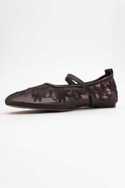 Prologue Shoes Juny Mesh Floral Embroidery Ballet Flat In Brown