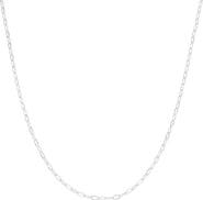 Bearfruit Jewelry Sterling Silver 18k Gold Plated Celine Chain Necklace Dainty Bold Look