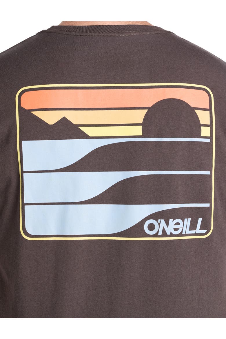 Big & Tall Dawn Classic Graphic Tee, Alternate, color, GRAPHITE