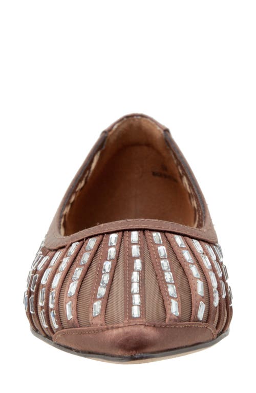 Linea Paolo Noelle Pointed Toe Flat In Brown