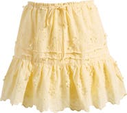 All in Favor Tiered Embroidered Cotton Eyelet Miniskirt