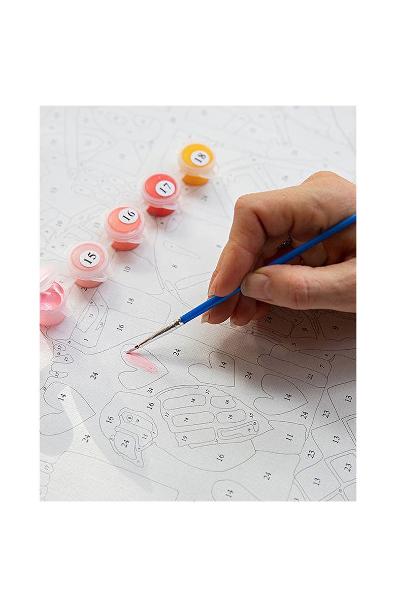 Journey of Something Paint By Numbers, Pink Haze, DIY Adult Painting Craft Kit, Alternate, color,