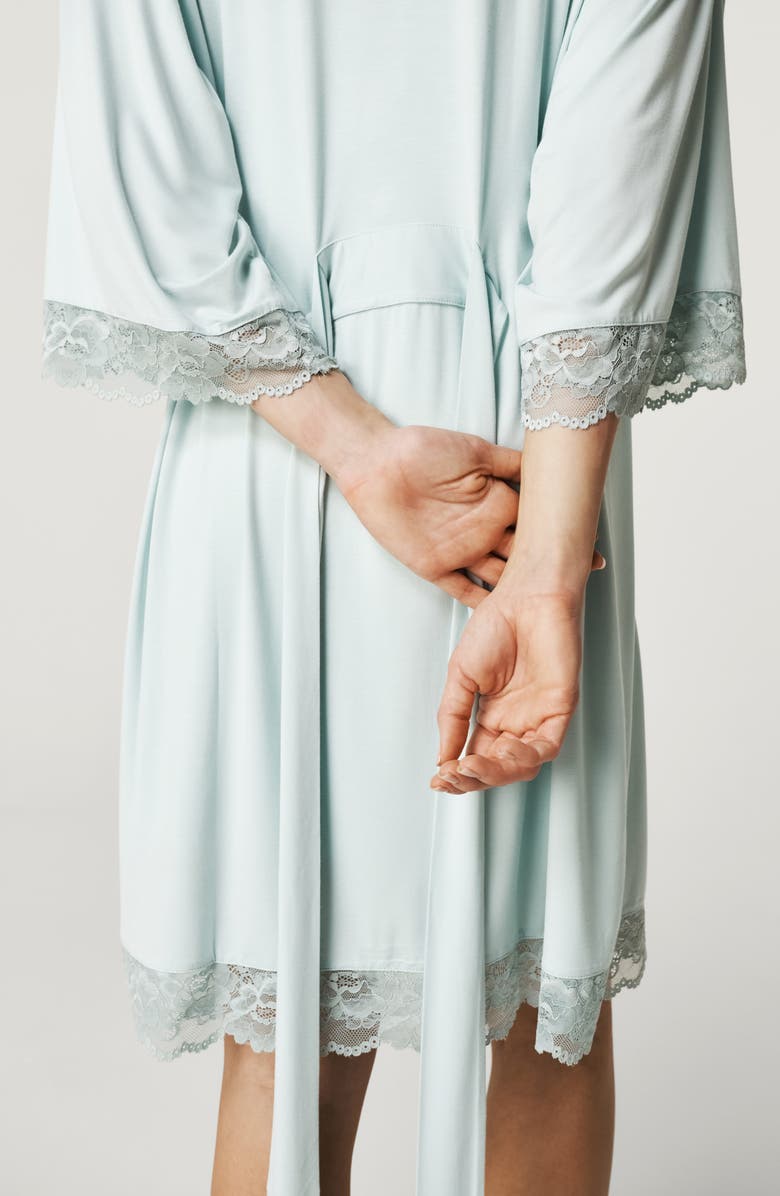 Posh Peanut Lace Trim Robe, Alternate, color, Misty Blue