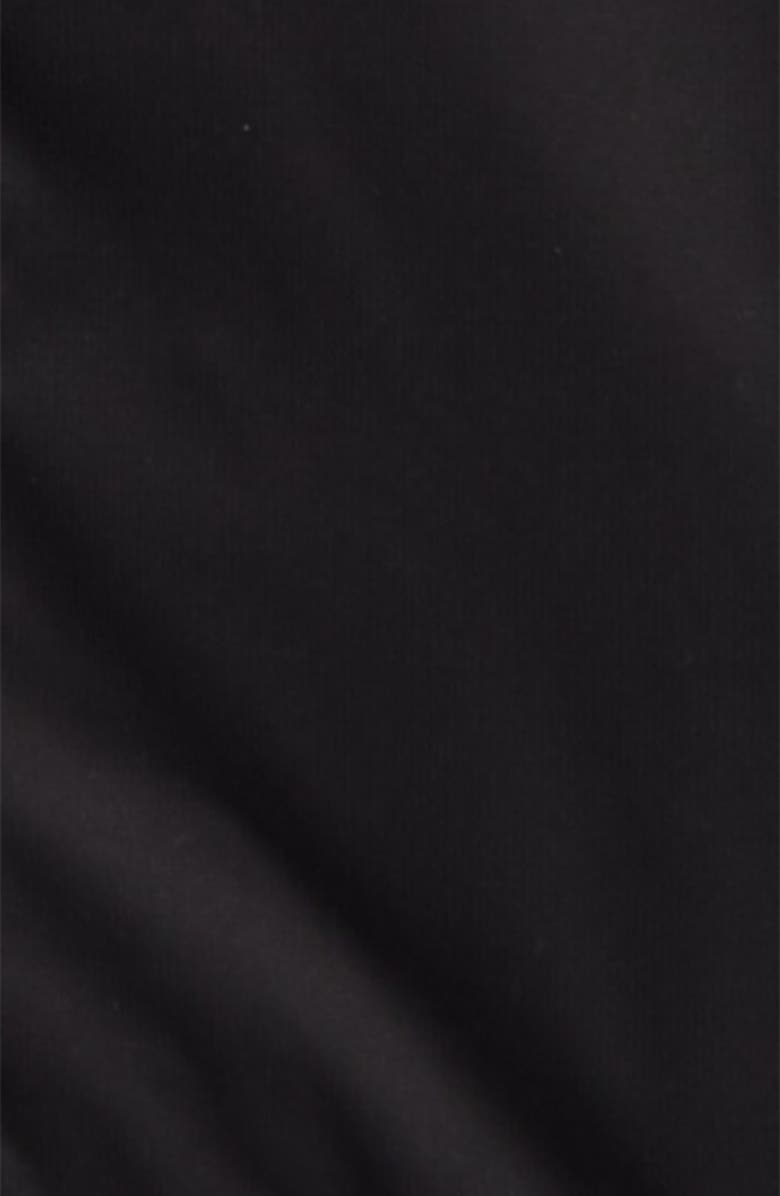 The North Face Vortex TriClimate<sup>®</sup> Water Resistant & Wind Resistant Hooded Jacket, Alternate, color, 