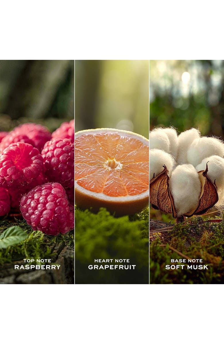 Marc Jacobs Daisy Eau So Fresh Eau de Toilette, Alternate, color, 