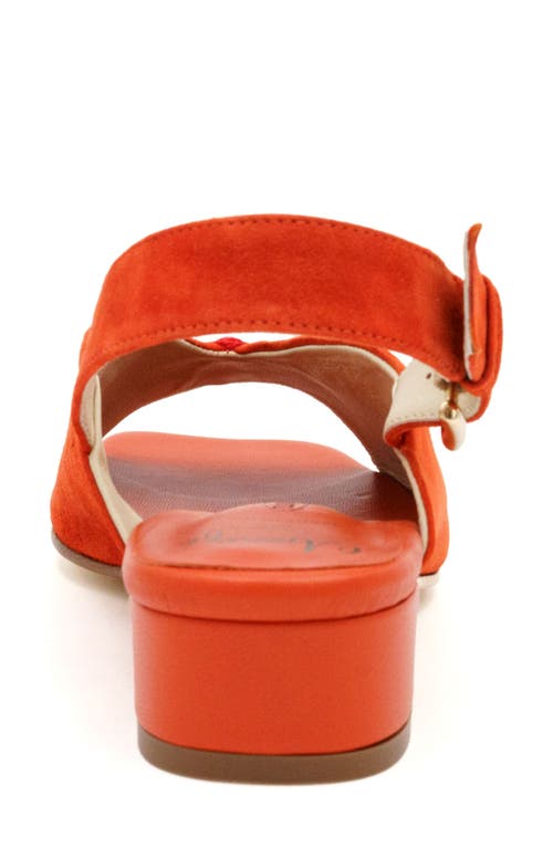 Amalfi By Rangoni Balista Slingback Sandal In Carrot Cashmere