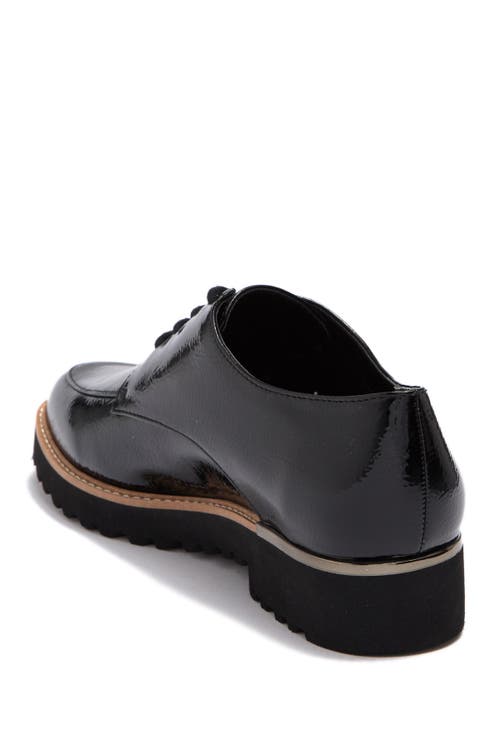 Franco Sarto Charles Patent Derby In Black/tan