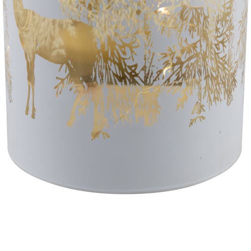 Northlight Led Lighted Deer In White