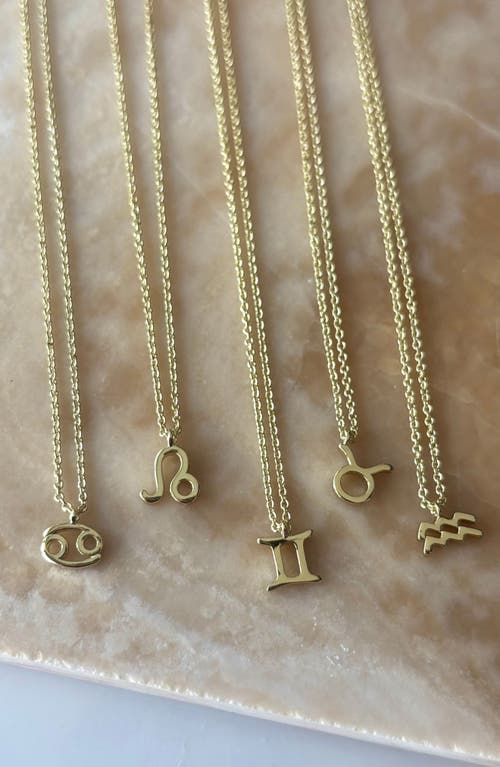 Adornia Zodiac Sign Pendant Necklace
