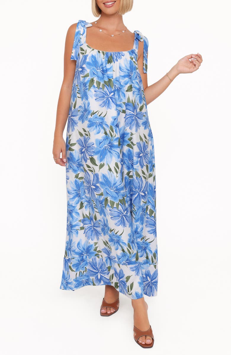 Petal & Pup Amber Floral Print Maxi Dress, Main, color, Blue Floral