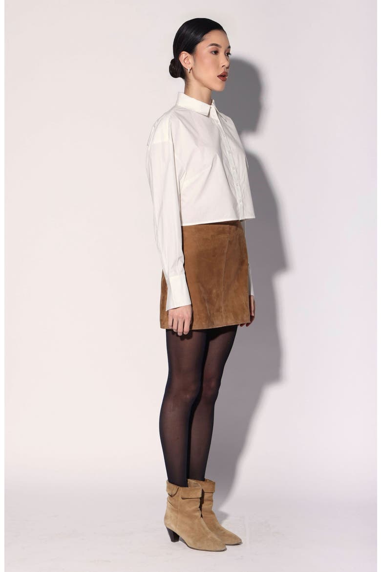 Sidney Suede Leather Skirt, Alternate, color, Brown