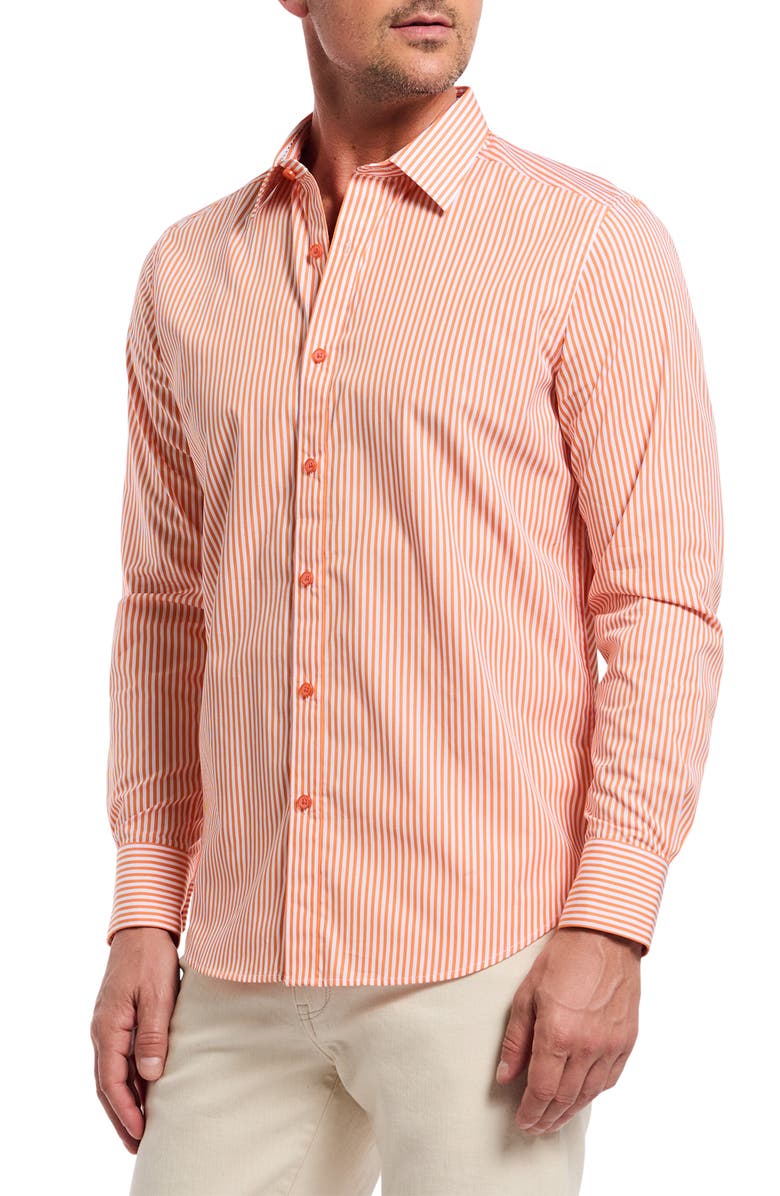Robert Graham Greenwich Stripe Stretch Button-Up Shirt, Alternate, color, Orange