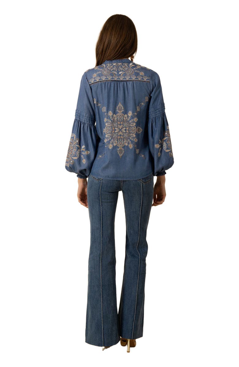 Hale Bob Elliott Embroidered Chambray Top, Alternate, color, 