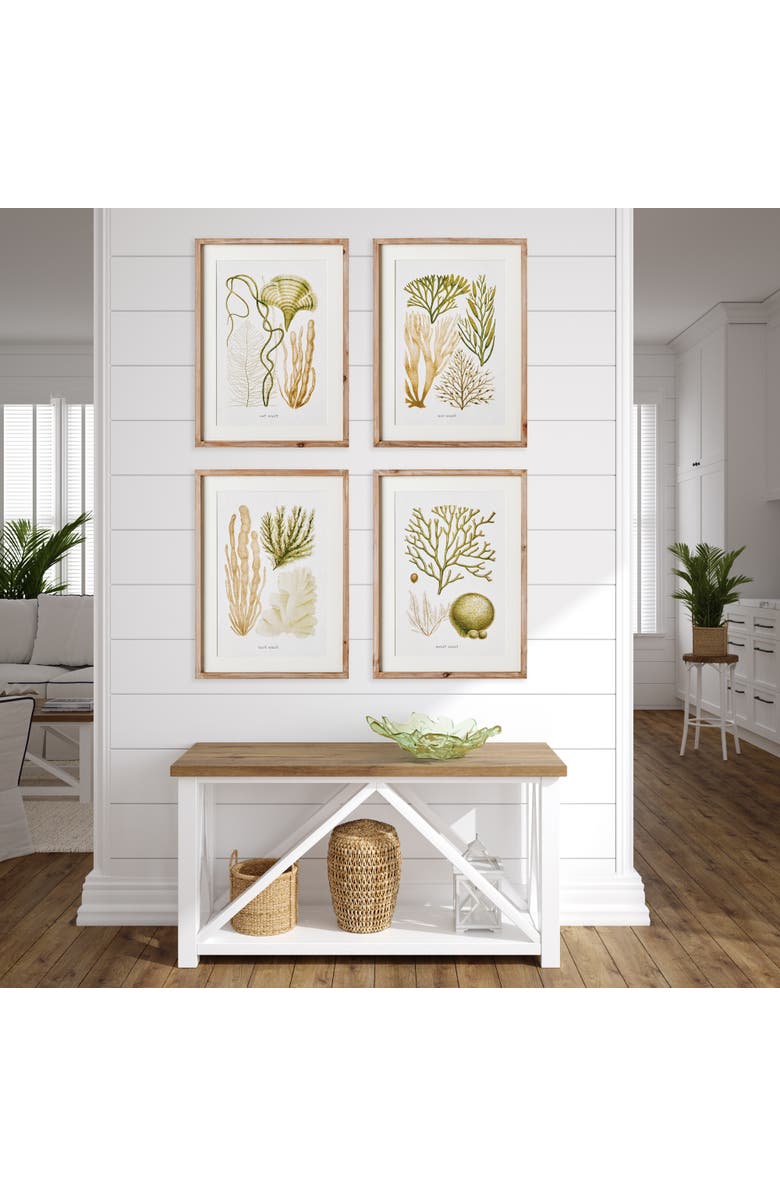 Napa Home & Garden Verdant Coral Study Framed Wall Art Set of 4, Alternate, color, 