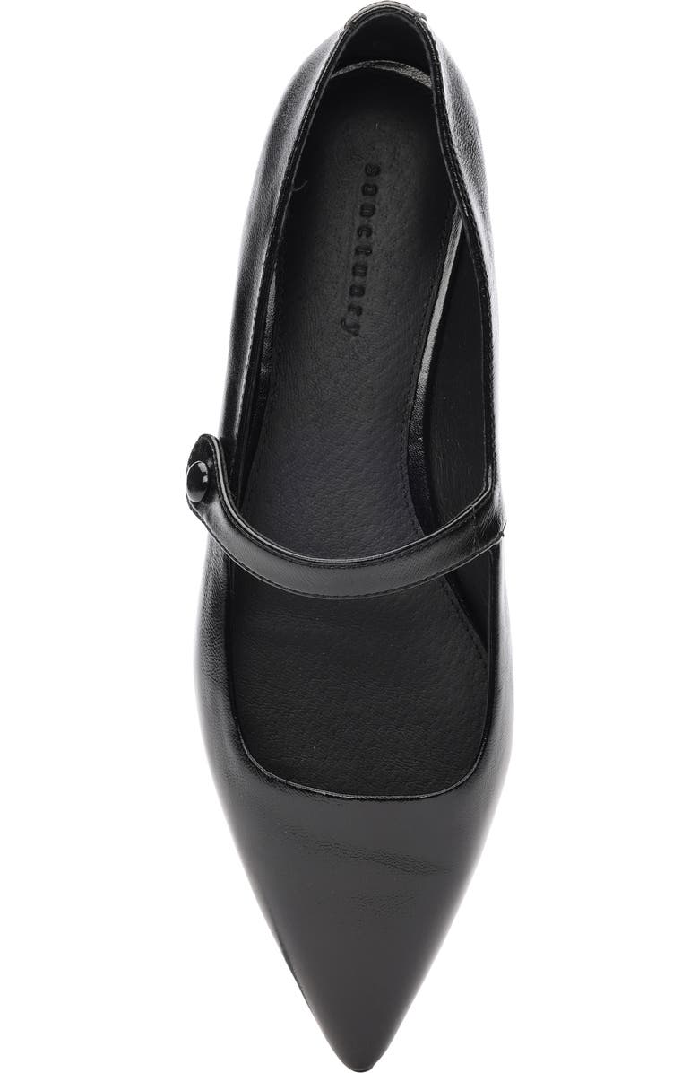 Sanctuary Clamour Pointed Toe Flat, Alternate, color,