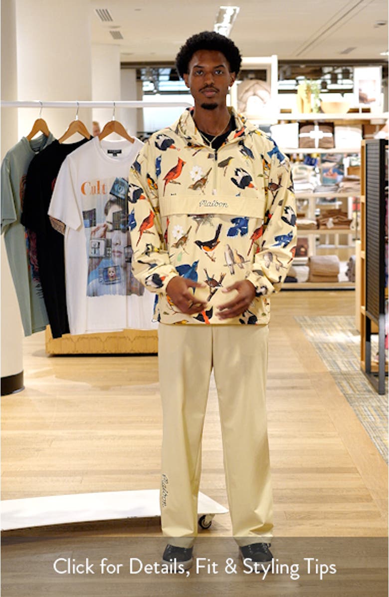 Birds of Georgia Print Ridge Quarter Zip Anorak Jacket, sales video thumbnail