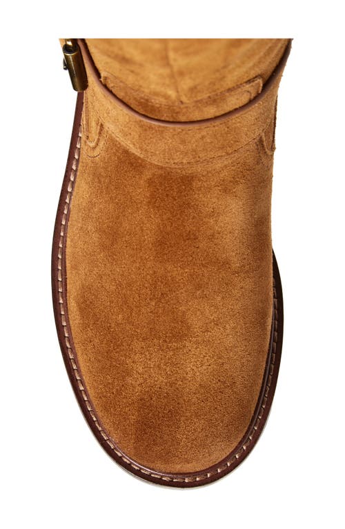 Sam Edelman Carter Knee High Boot In Brown