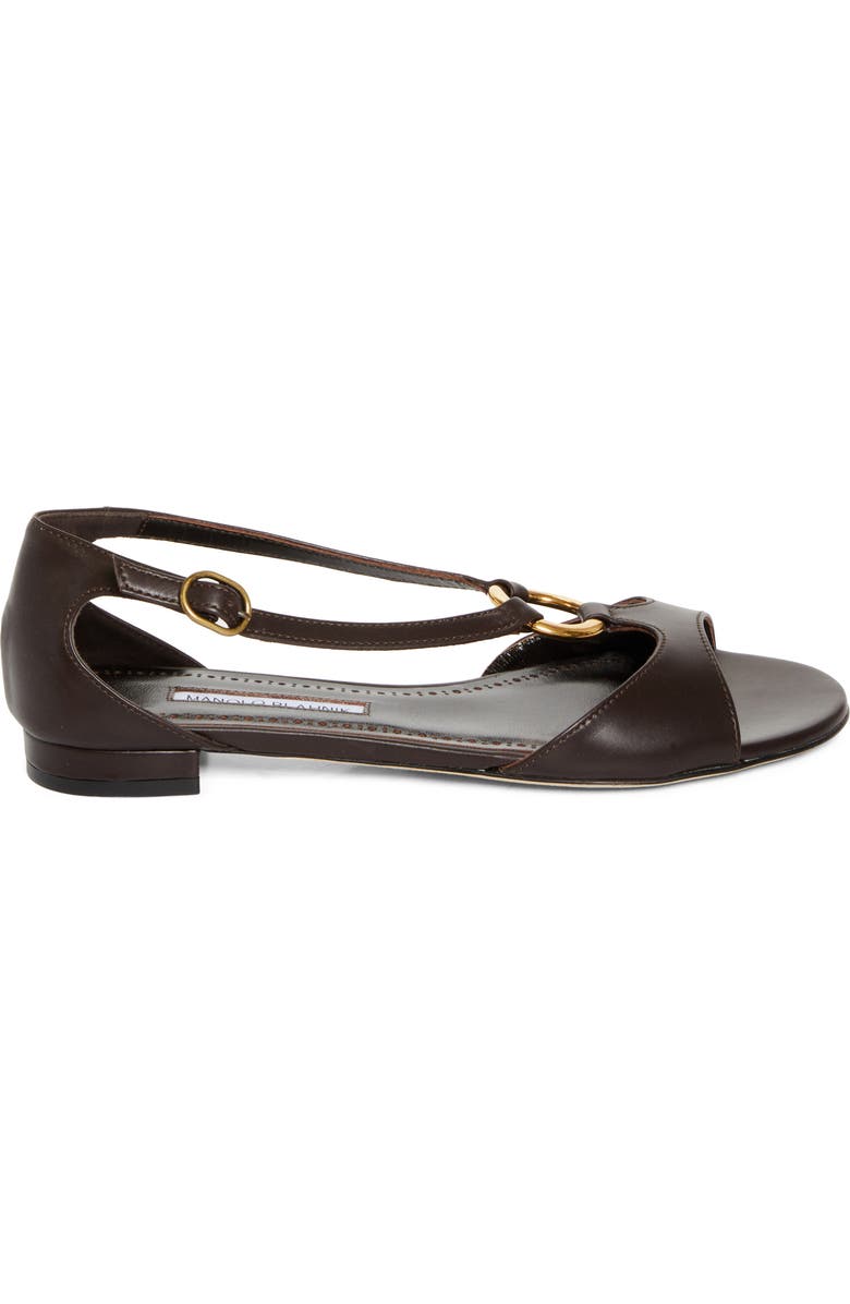 Manolo Blahnik Theodo Flat, Alternate, color, Dark Brown