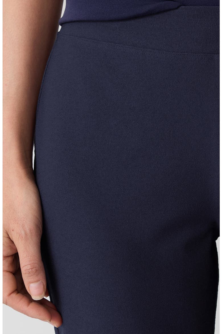 Slim Ankle Pants, Alternate, color, INK