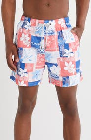Vintage Summer Volley Swim Trunks