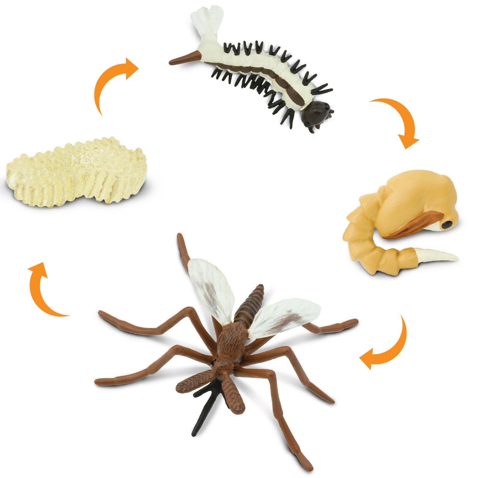 Safari Ltd. Life Cycle Of A Mosquito | Nordstrom