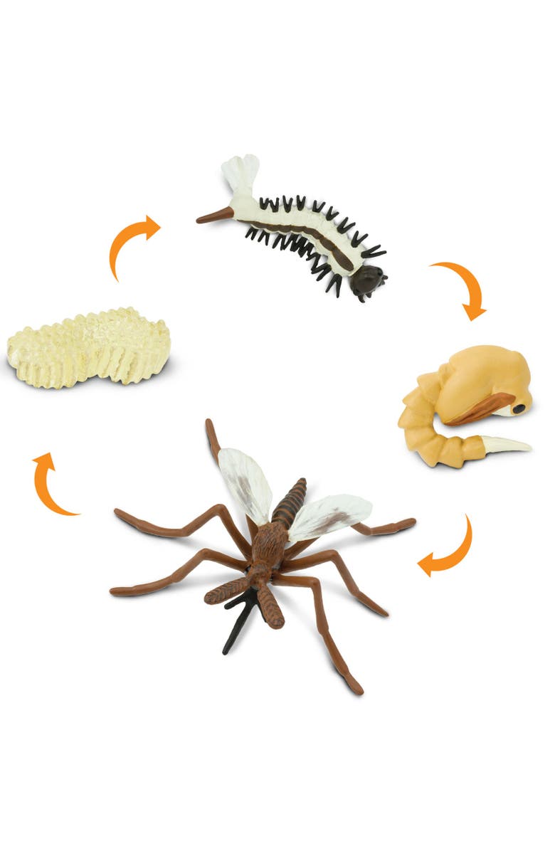 Safari Ltd. Life Cycle Of A Mosquito, Alternate, color, NO COLOR