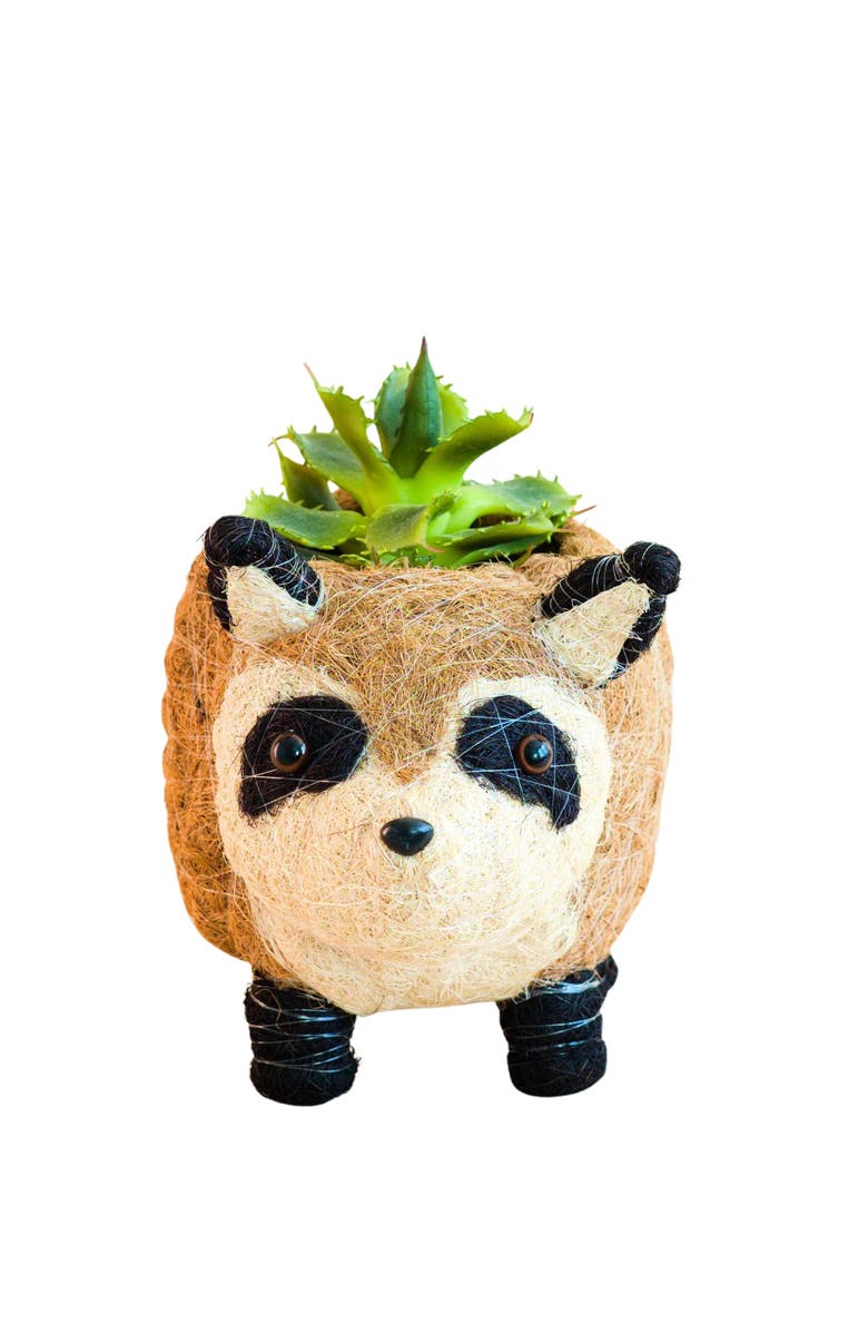 LIKHA Woodland Animal Coco Coir Planters, Alternate, color, Brown