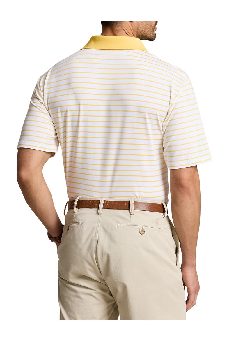 Big & Tall Striped Performance Polo Shirt, Alternate, color, CERAMIC WH SNFSH YLW