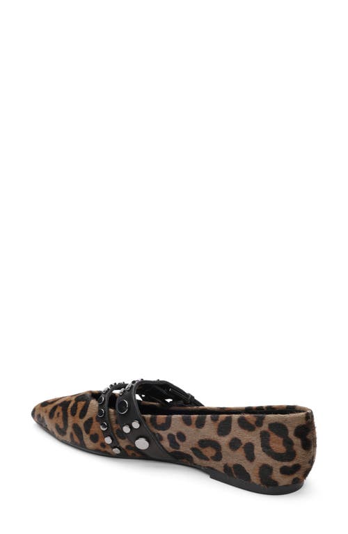 Ash Britnie Pointed Toe Flat In Brown