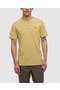 Dusk Yellow