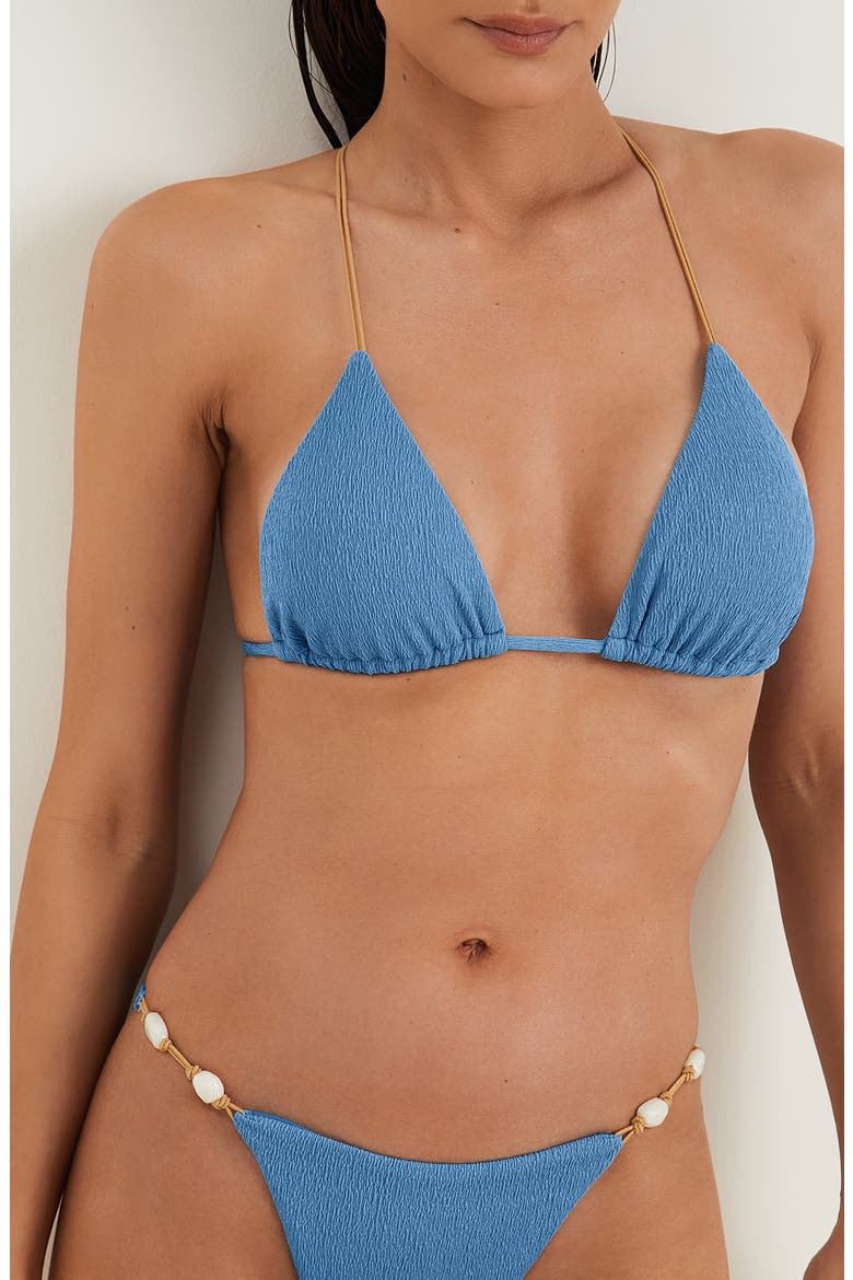 Firenze Ney Bikini Bottoms, Alternate, color, BLUE