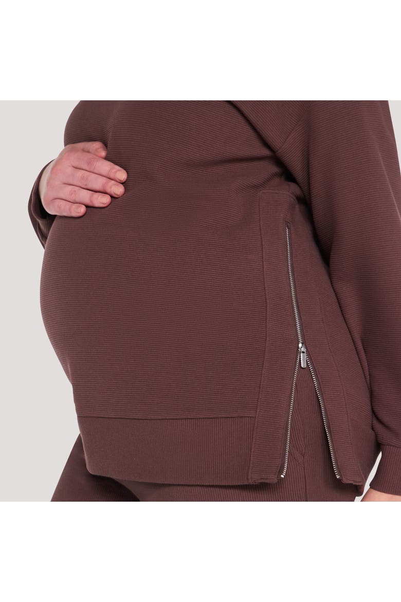 Crew Neck Long Sleeve Side Zip Tunic, Alternate, color, French Roast