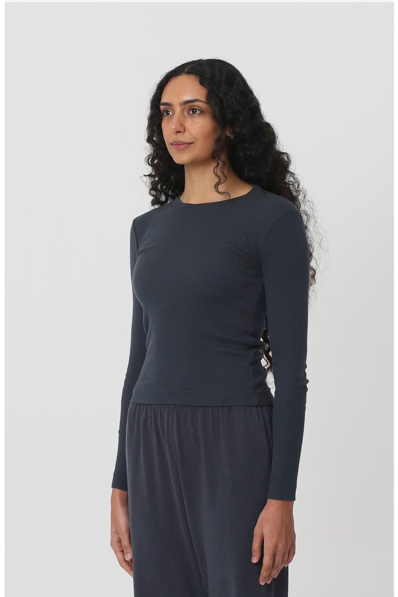 Rib Long Sleeve, Alternate, color, Slate