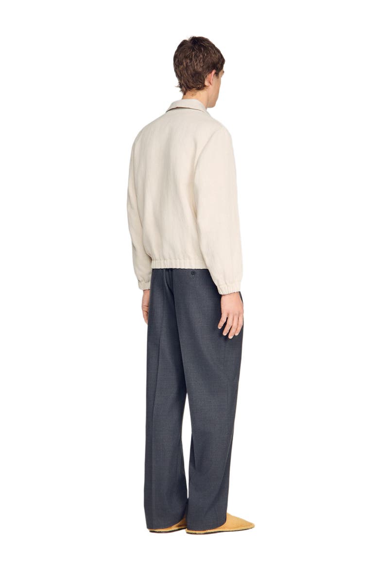 Cotton zip-up jacket, Alternate, color, Ecru