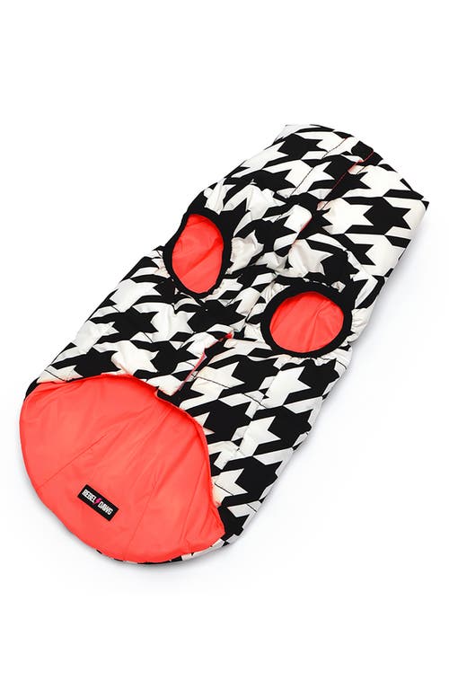 Rebel Dawg Reversible Dog Puffer Coat In Black