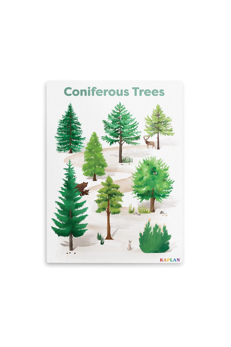 Coniferous Tree Giclee Classroom Wall Print, Main, color, green